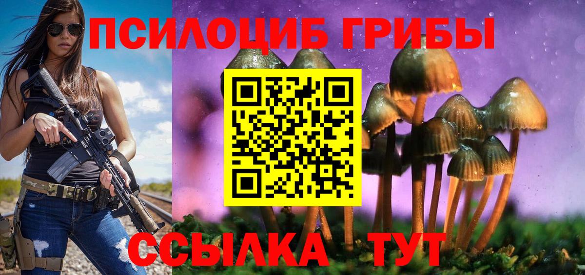 Галлюциногенные грибы Magic Shrooms  Псилоцибиновые грибы MAGIC MUSHROOMS  купить наркотик  Вход с VPN  Тулун 